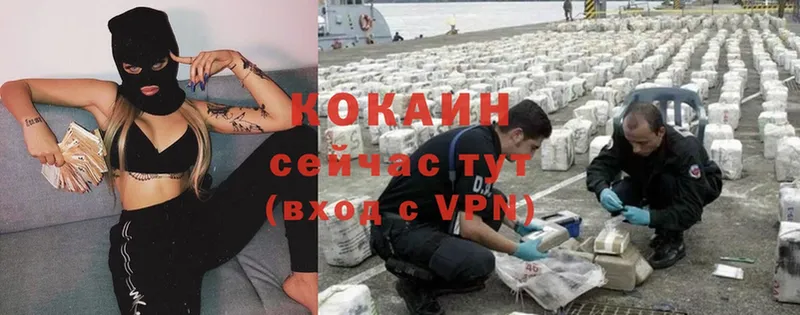 Cocaine 99%  Кологрив 